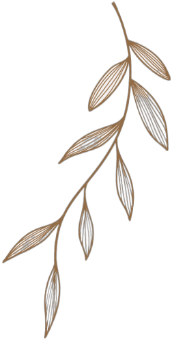 imagem de um ramo de folha